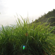 Image for article titled Shooting Challenge: Lens Flare Gallery Part One